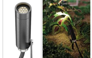 pincho volterra apli